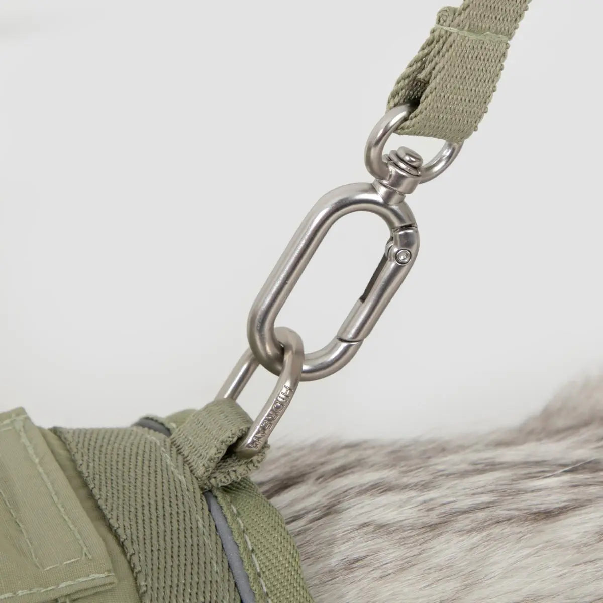 Close-up of metal swivel clip and leash attachment on cat harness, durable hardware for safe walking