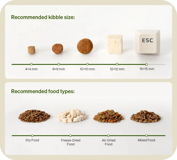Infographic showing recommended kibble size (4×4 mm to 15×15 mm) and supported food types including dry food, freeze-dried food, air-dried food, and mixed food for an automatic pet feeder