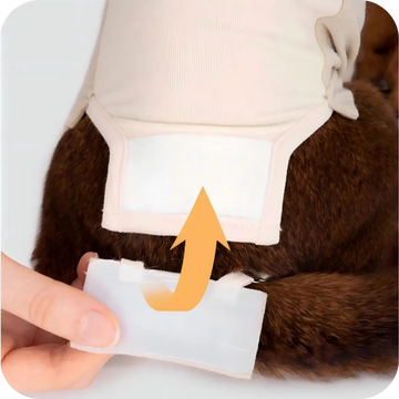 Cat recovery suit with adjustable Velcro tail opening for easy bathroom use