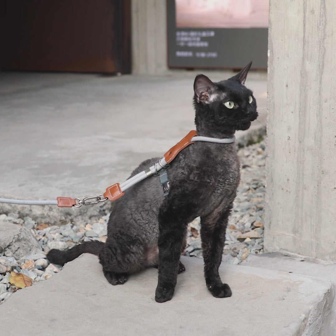Petaura  Adjustable H-Style Cat Harness & Leash Set Brown