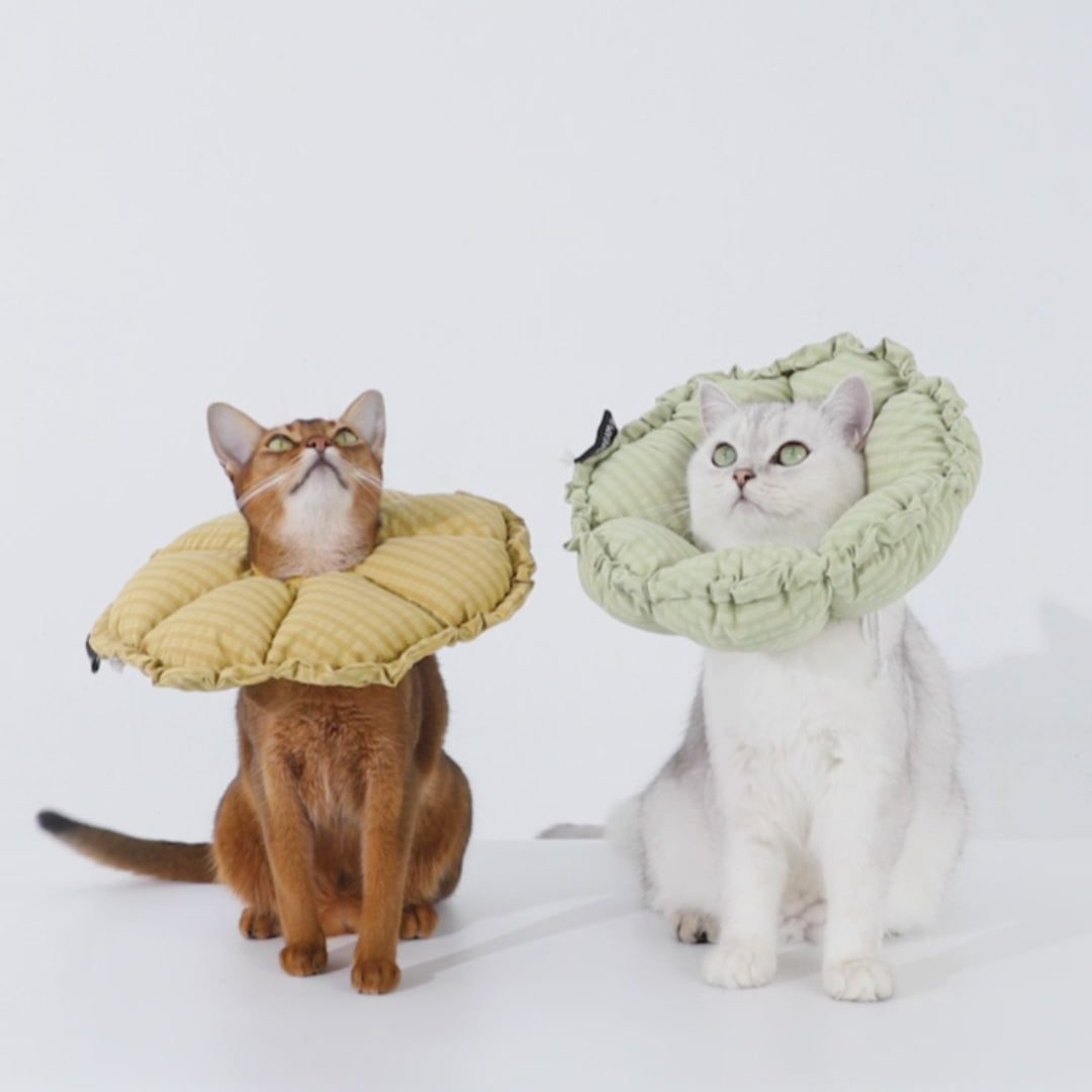 Petaura Soft Recovery Cone & Elizabethan Collar for Cats