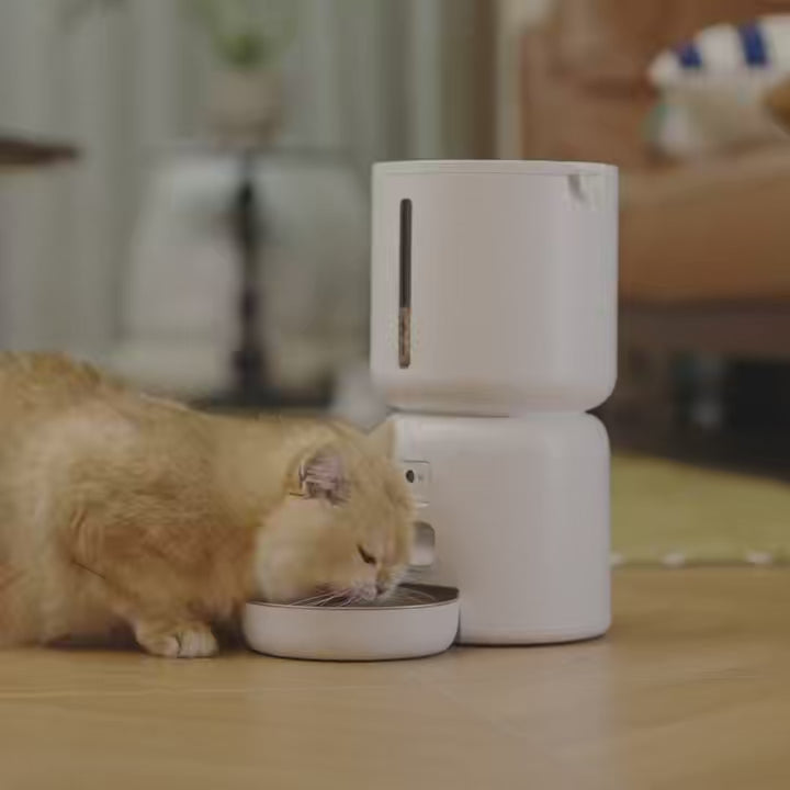 A happy cat enjoying a meal from an automatic cat feeder