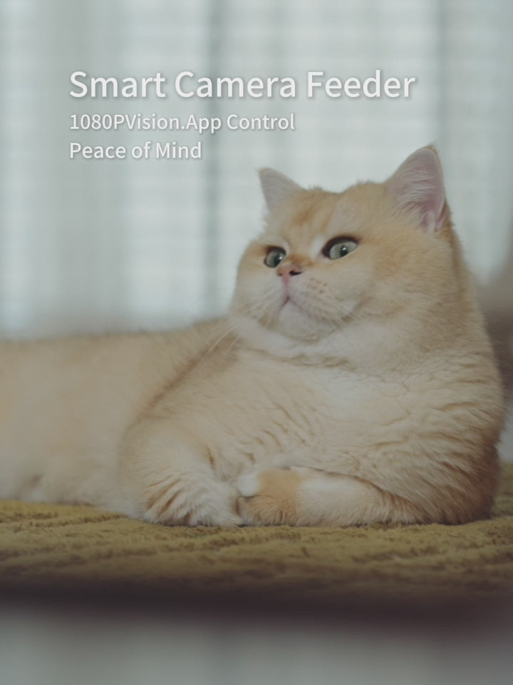 A white smart automatic cat feeder with a cat eating calmly, showcasing the product design and feeding function.