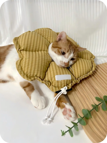 Relaxed cat resting with a soft protective cat cone collar, adjustable recovery collar for healing and comfort